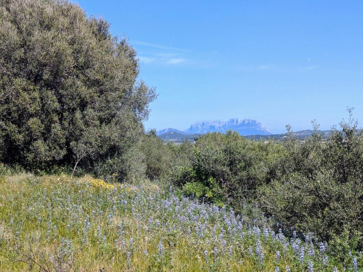 Agreen Country House Olbia Luaran gambar
